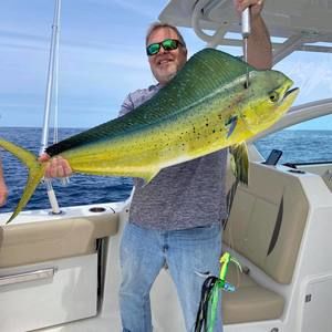 Meet your Posher, Mark